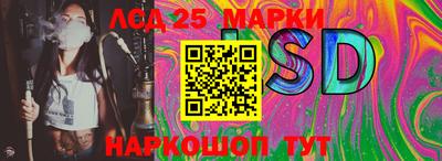 гашик Нарткала