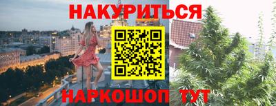гашик Нарткала