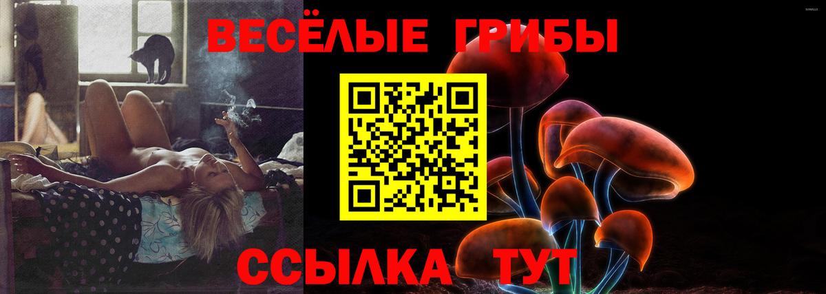 Галлюциногенные грибы ЛСД  даркнет сайт  Вход с VPN  Петрозаводск  Псилоцибиновые грибы Cubensis 